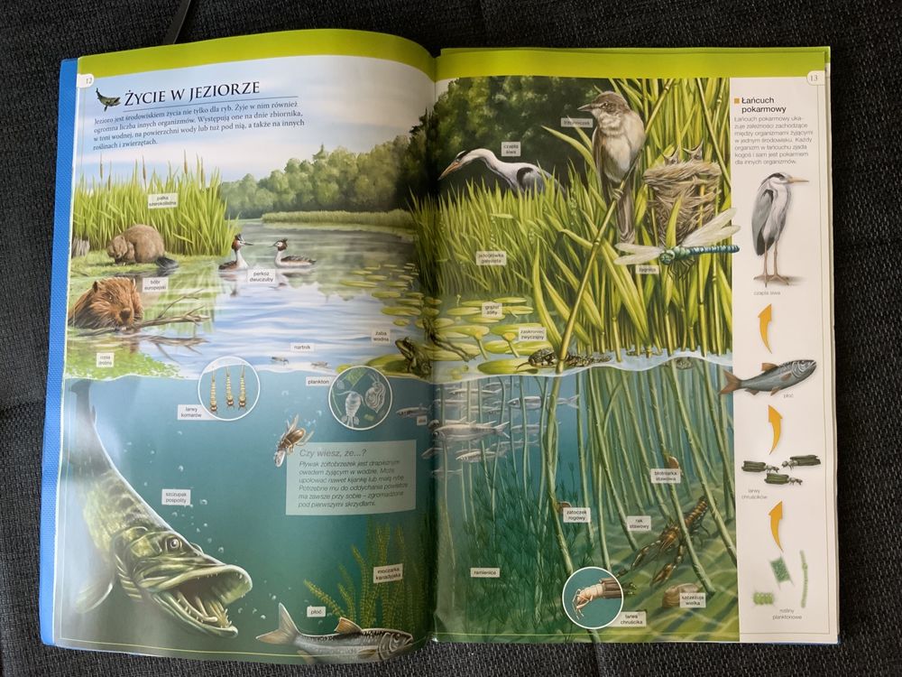 Atlas ilustrowany Nowa era Świat przyrody do klas 1-3