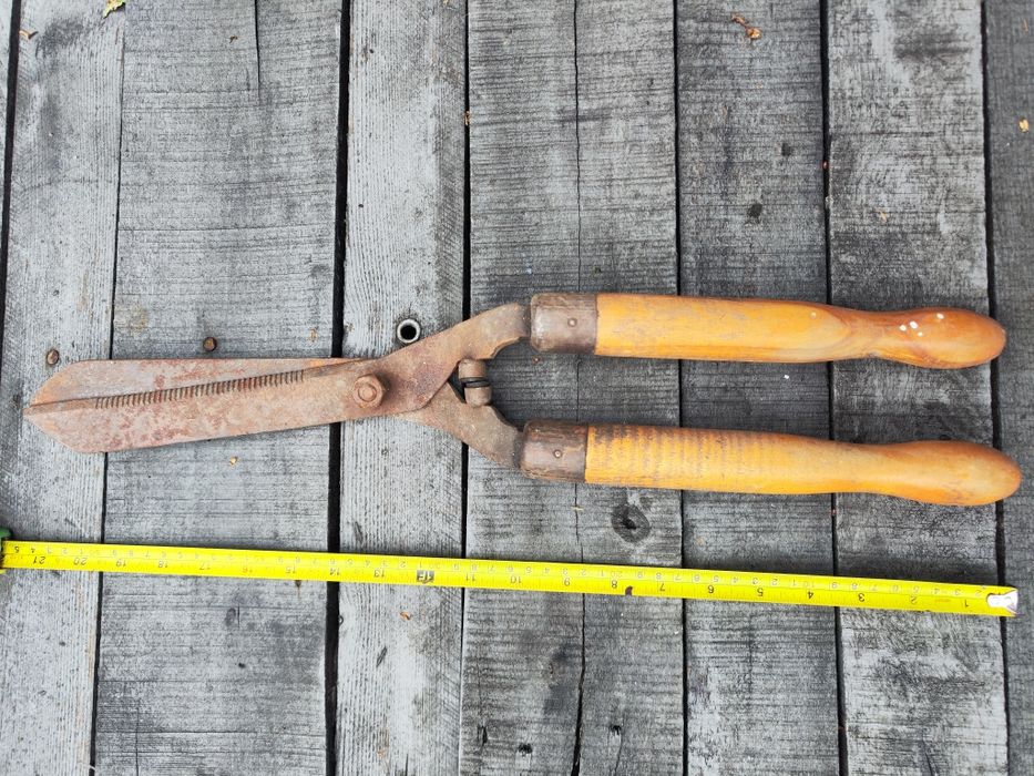 Nożyce do renowacji