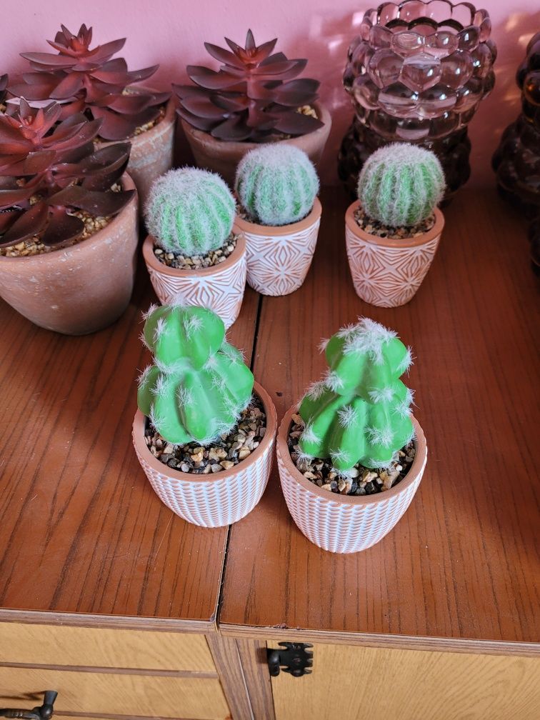 Mały kaktus sztuczny