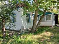 Продається газифікований будинок хата в селі Мліїв Черкаської області.