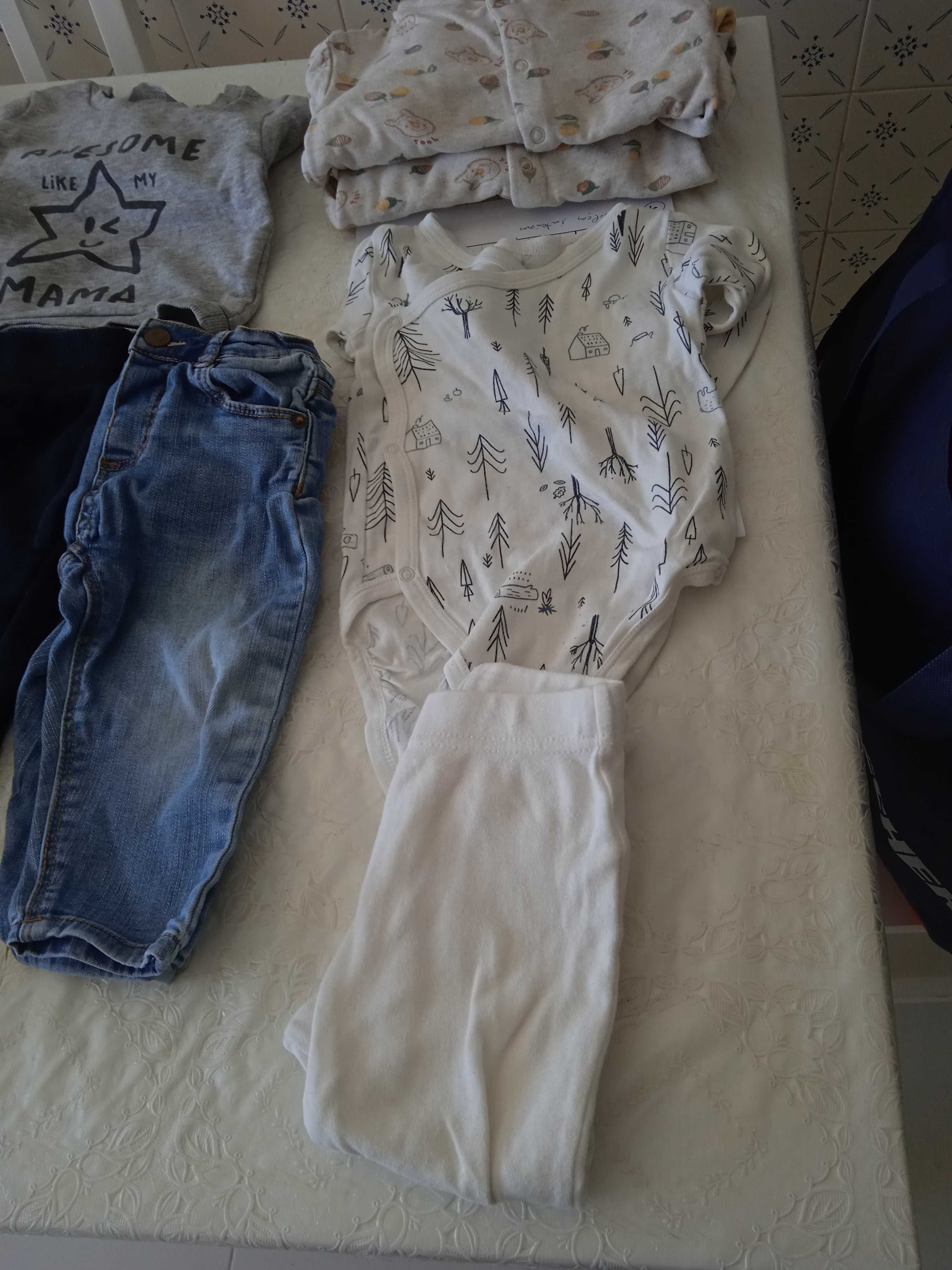 Lote roupa de bebé de 9 a 12 meses