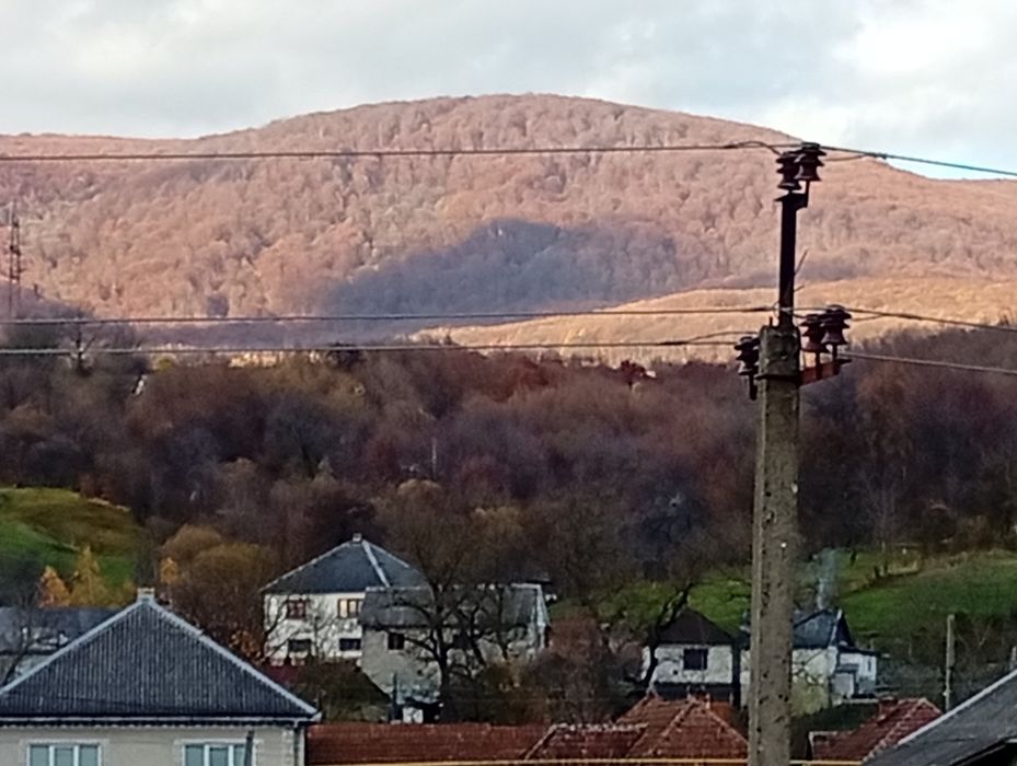 Продаю земельну ділянку у селі Сусково Закарпатської області