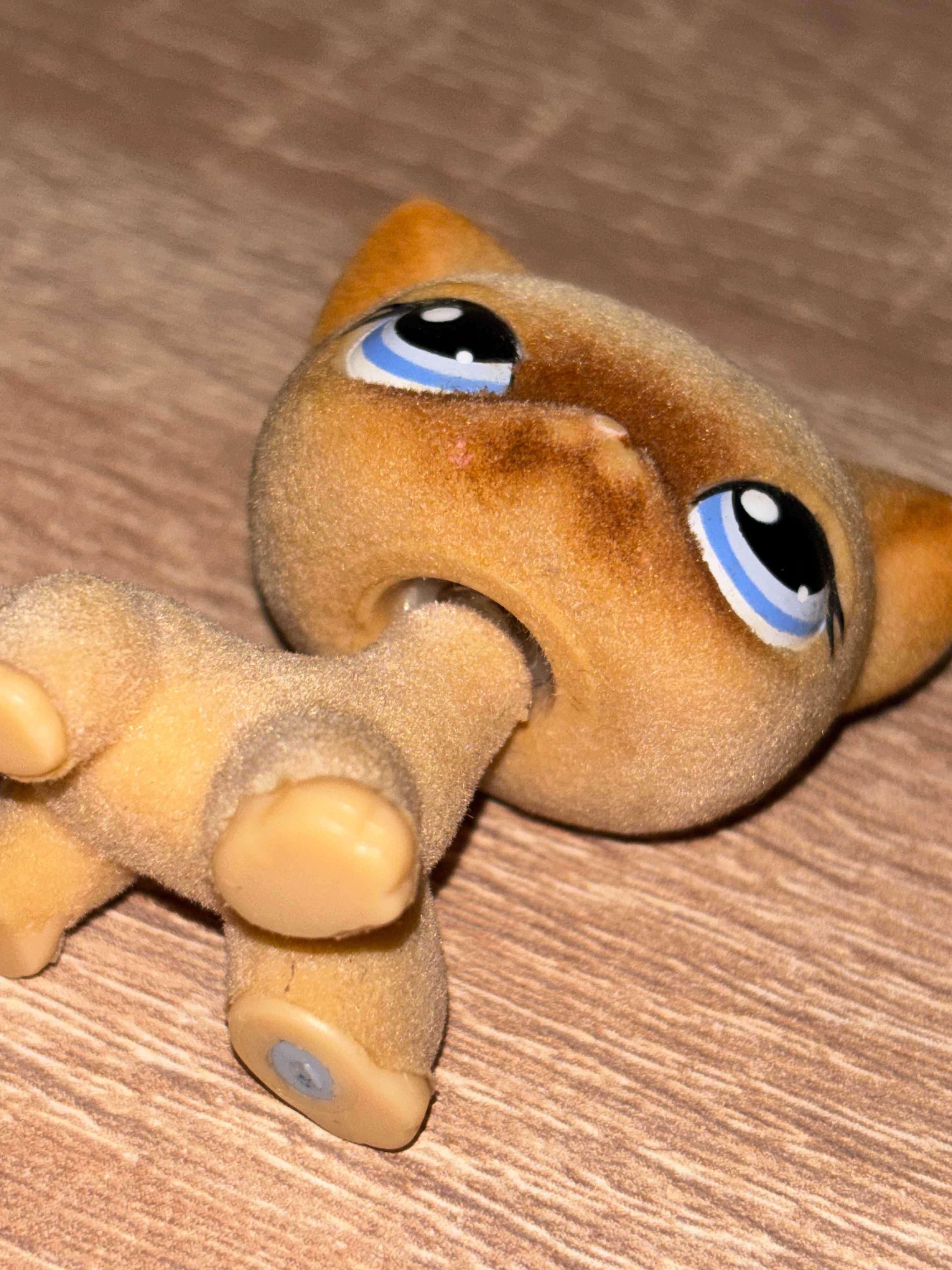 Littlest Pet Shop #318 shorthair FUZZY oryginalny LPS oryginał 100%