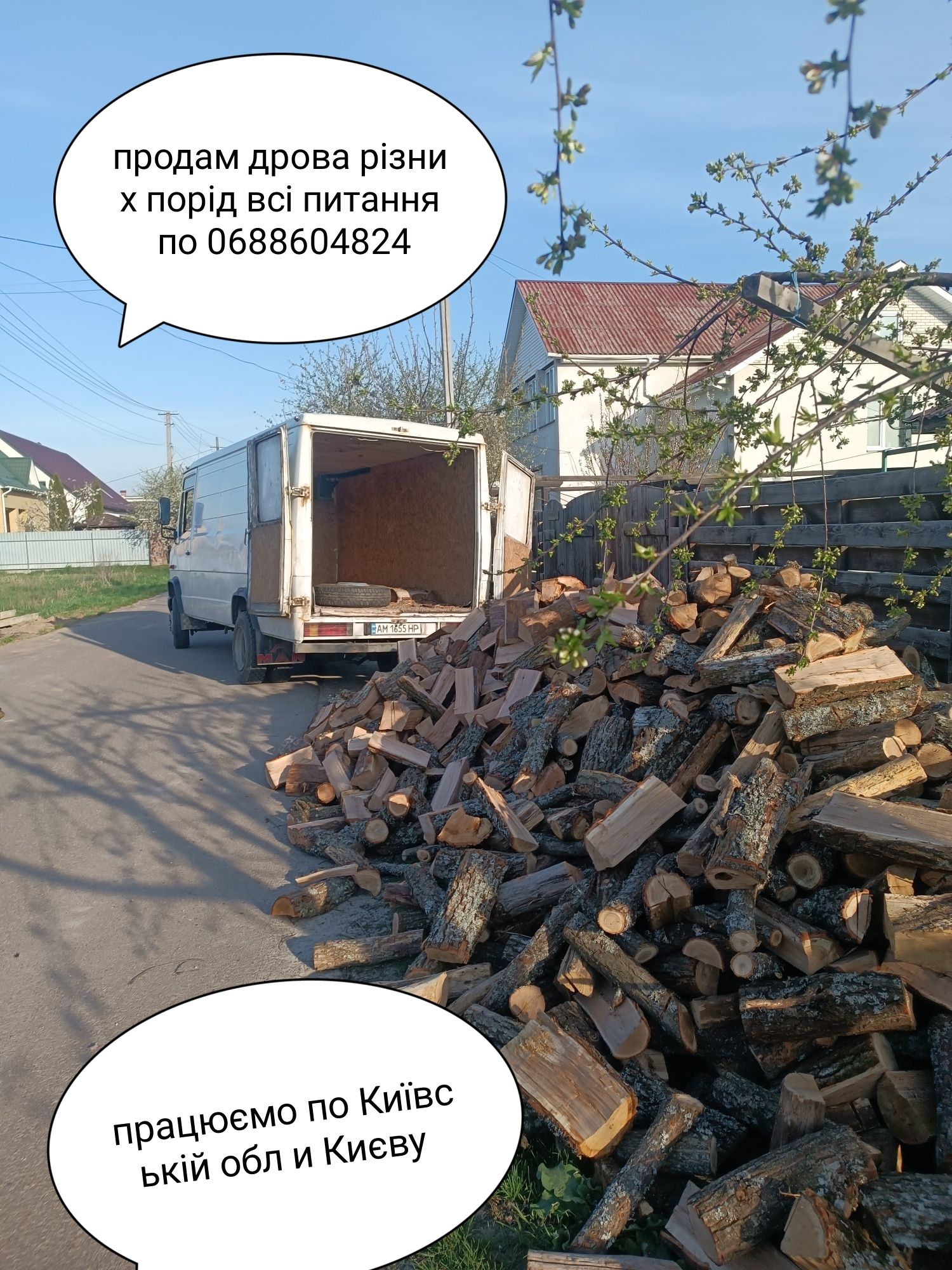 Продам дрова різних порід працюємо по Київу и Області