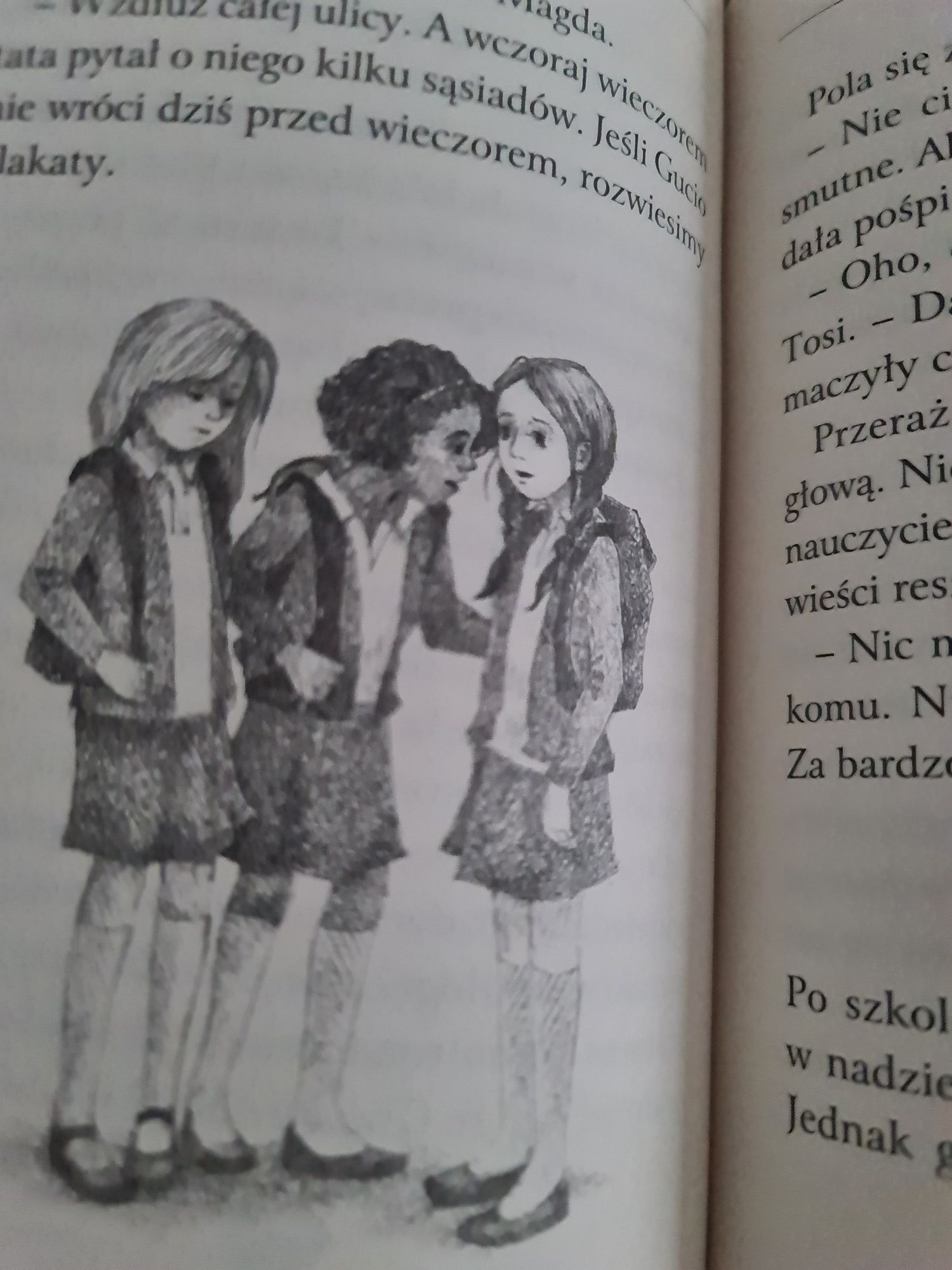 Potrójne Zaopiekuj się mną. Holly Webb.Wzruszające opowieści o kotkach