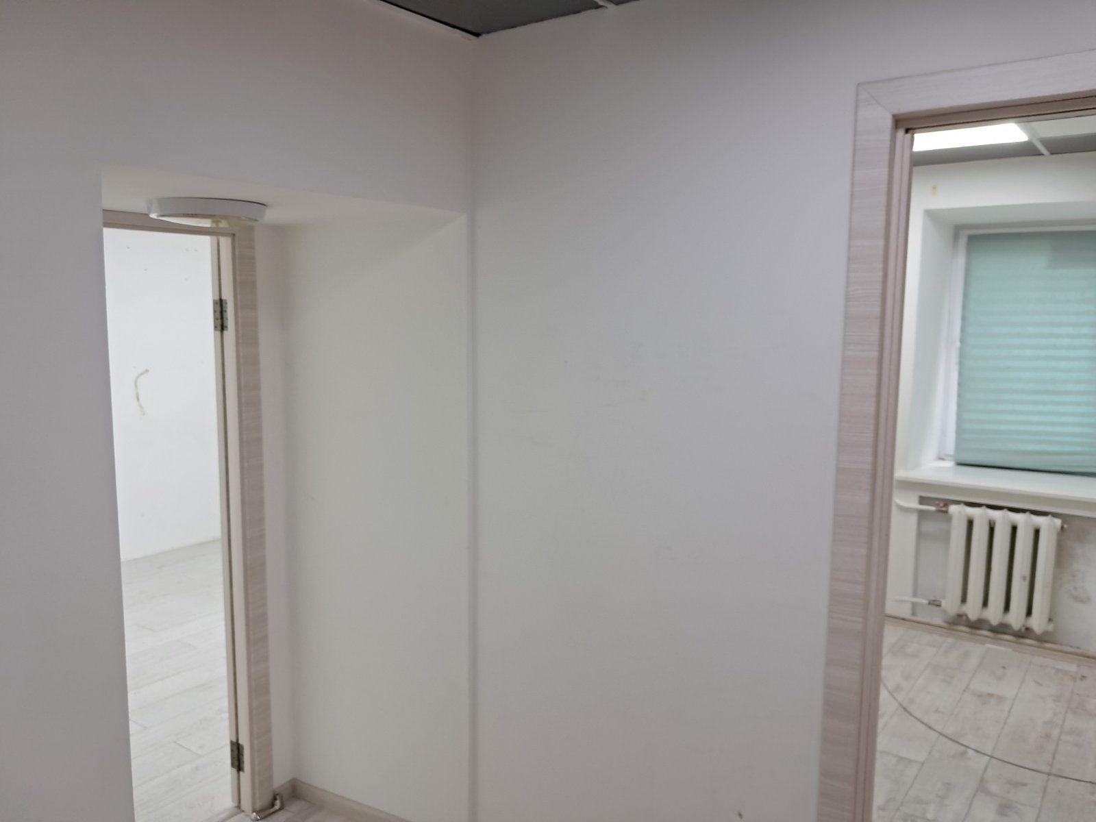 Аренда под офис, салон, шоу-рум - 65 м.кв., в центре.