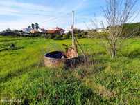 Lote de terreno a 4 km da cidade de Tomar no centro de Portugal