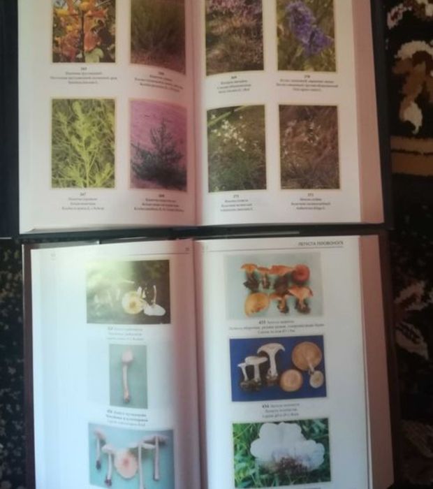 Енциклопедія народної медицини в трьох томах Міхайлевський