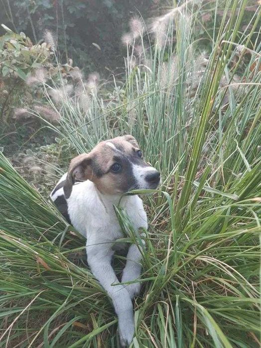 Славная девчушка ждет свою семью