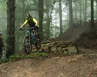 Canyon Spectral CF 8.0 rozmiar S