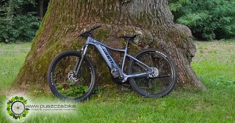 Wypożyczalnia Rower elektryczny MTB GIANT TALON JOBOBIKE ROBIN