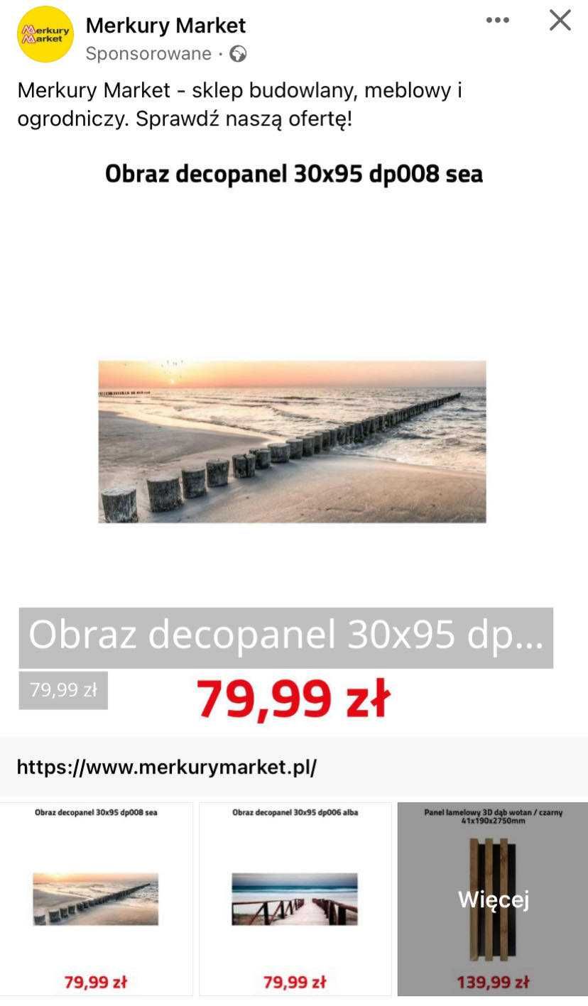 Dwa NOWE obrazy decopanel 30x95 w zestawie