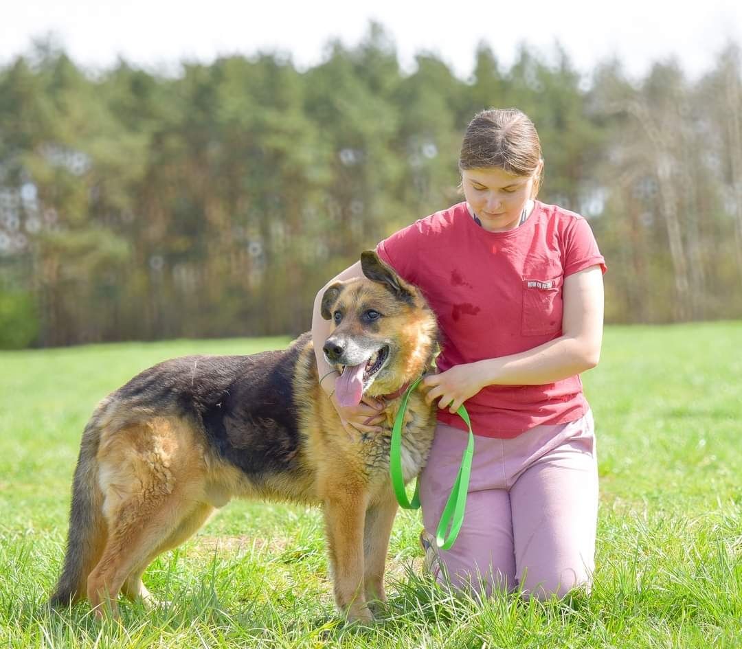 Może ktoś zakocha się w tym śmiesznym i fotogenicznym psiaku?