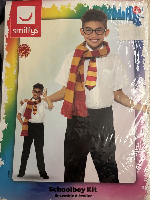 Disfarce Harry Potter Halloween Carnaval