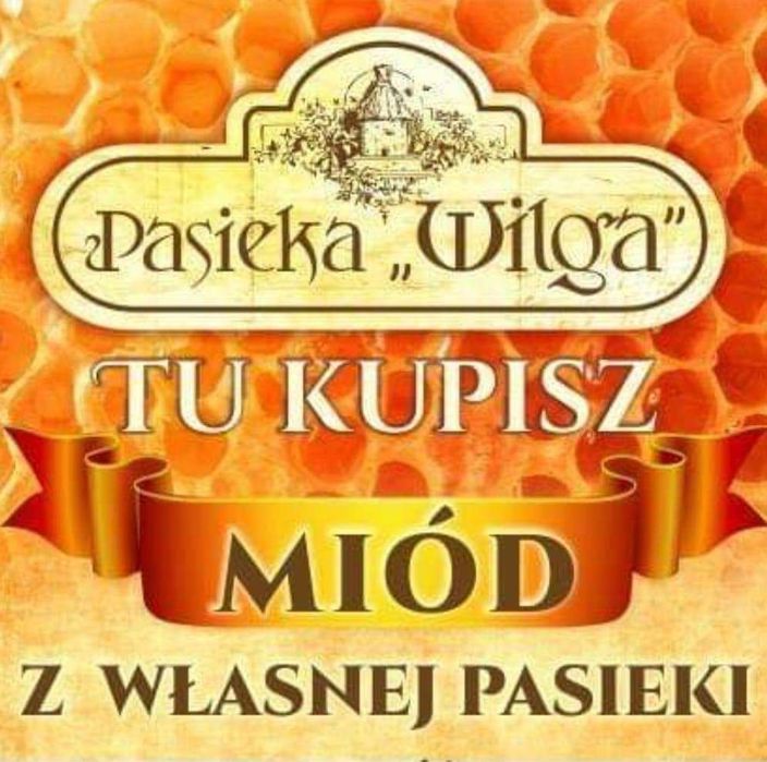 Miód z własnej pasieki Pasieka Wilga