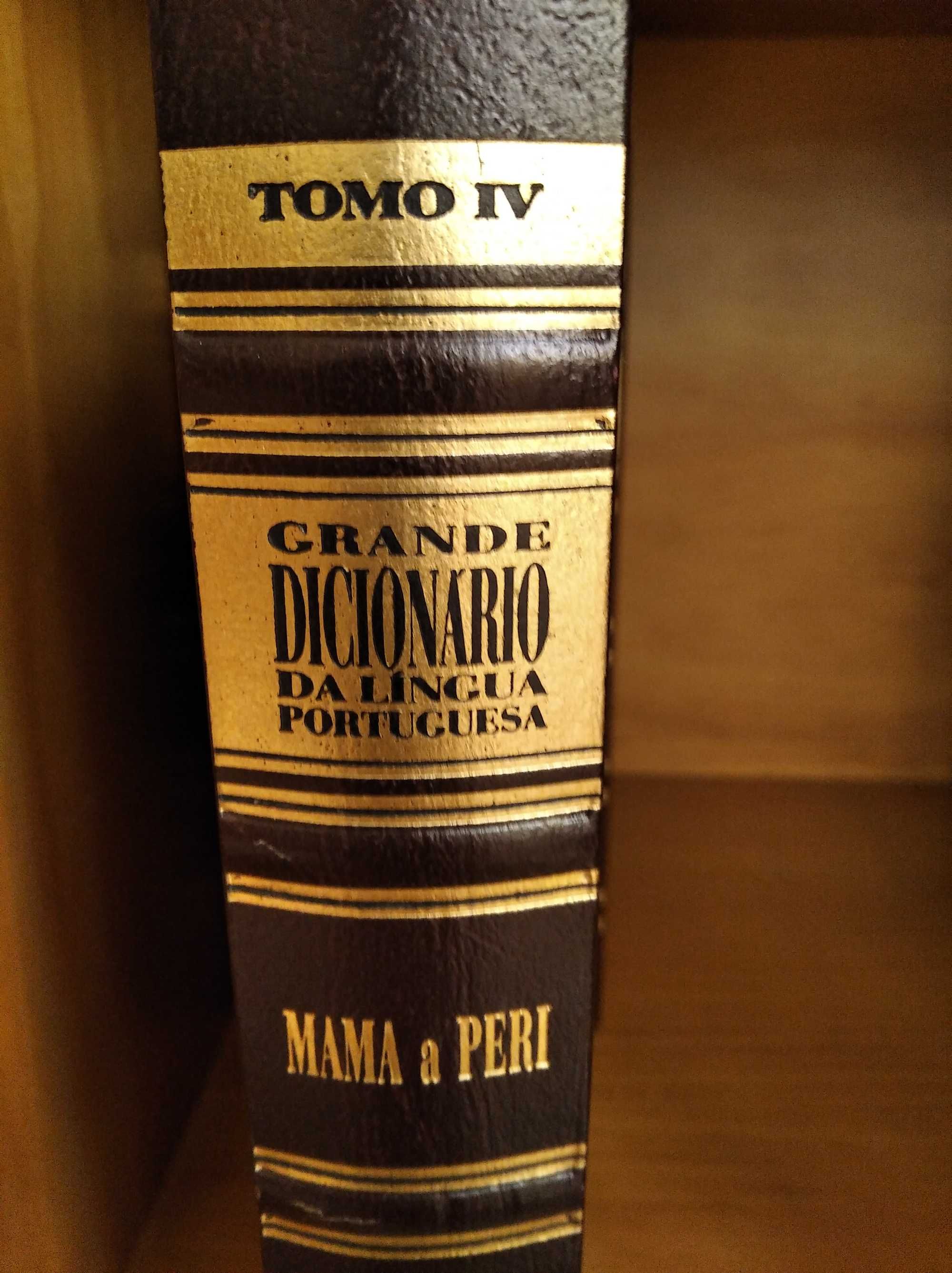 Coleção de 6 volumes de dicionários portugueses