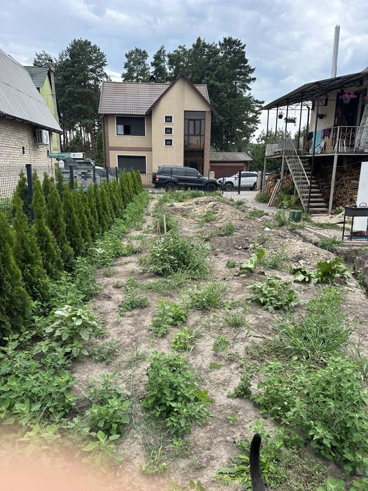 Догляну ваш двір: газон, автополив, рослини