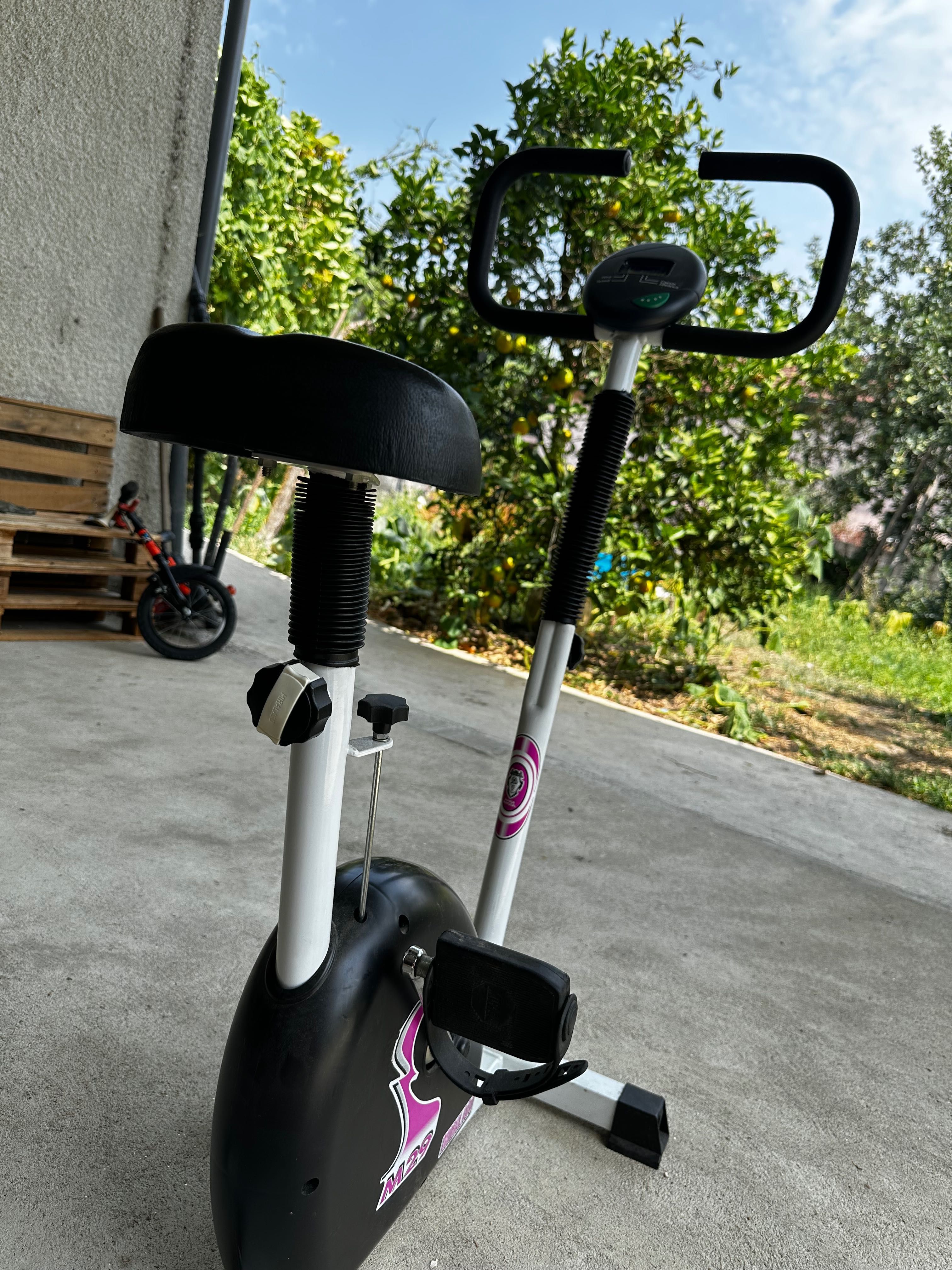 Bicicleta estatica