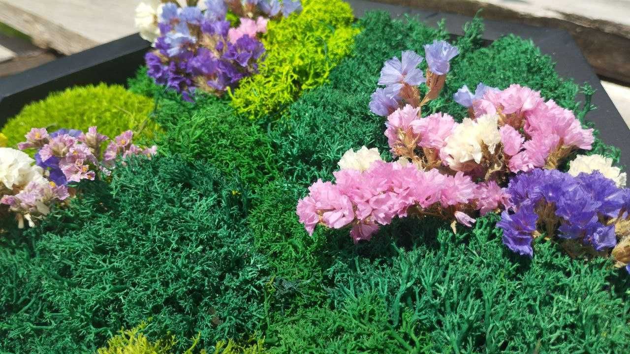 Соти з мохом, Мох у сотах,Настінний декор з моху. ДЗВОНІТЬ