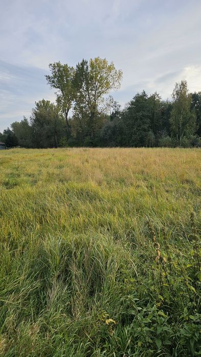 Działka 1.33 ha (RM+ZN) | staw | Palikówka k. Rzeszowa/Łańcuta 
Działk