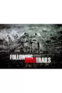 Following Wild Trails Tomsz Gudzowaty