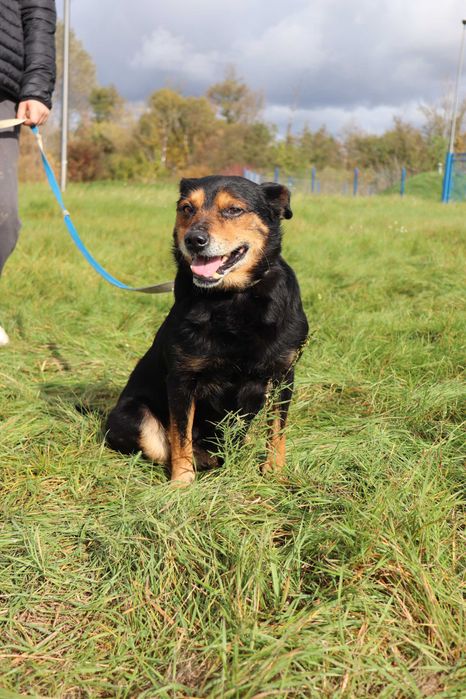 Atomek szuka domku | 15-letni