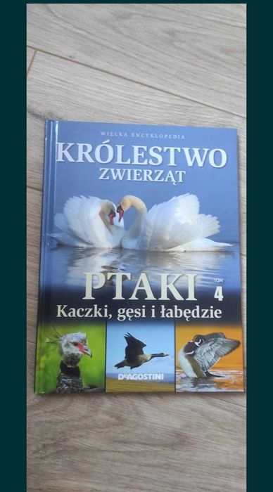 Książka Królestwo zwierząt - ptaki