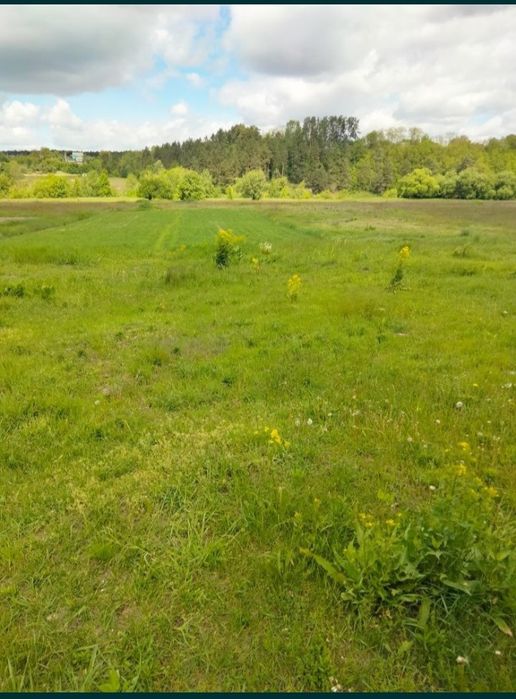 Продам земельну ділянку під будівництво в Оліївці !!!