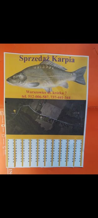Karp! Sprzedaż Karpia z własnej hodowli