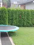 Oddam trampolinę 3.6m