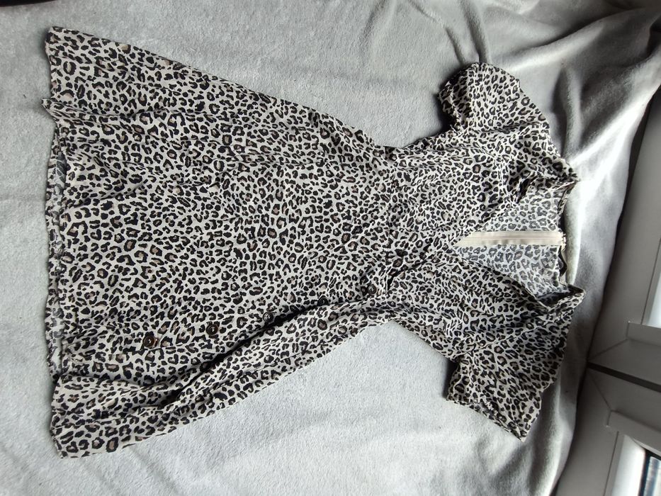 Sukienka w panterkę z wiskozy Zara S 36