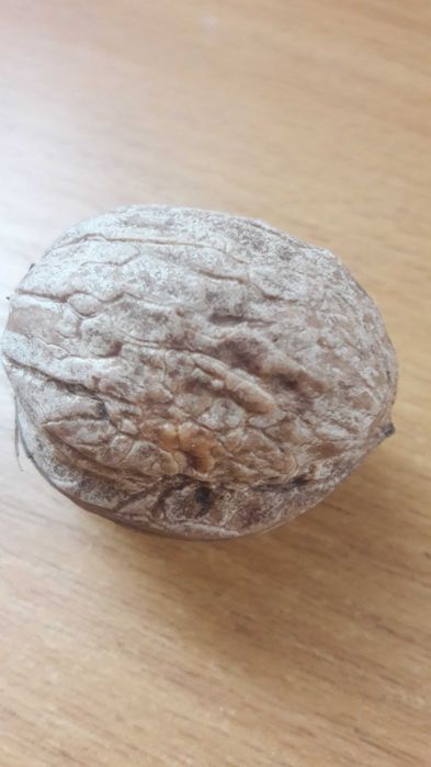 Продам недорого екологічно -чистий  неочищений грецький горіх