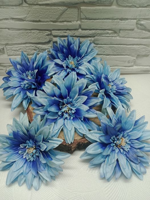 Dalia główka 6 sztuk 17 cm