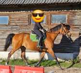 Klacz SP do ambitnej rekreacji
