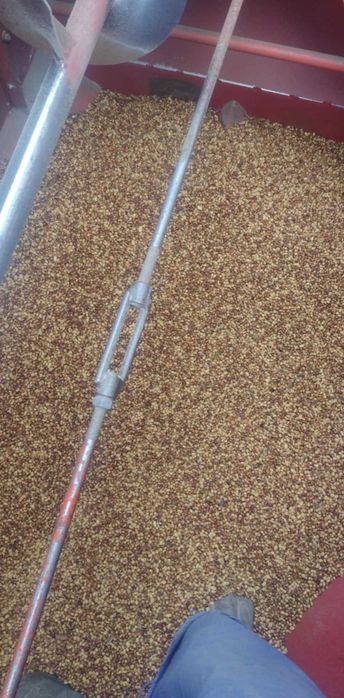 Soja Abaca 1 sezon po centrali 2zl/kg