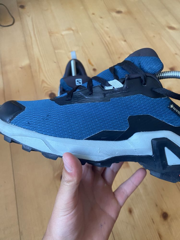 Кросівки Salomon Xreveal 2 Gore-tex