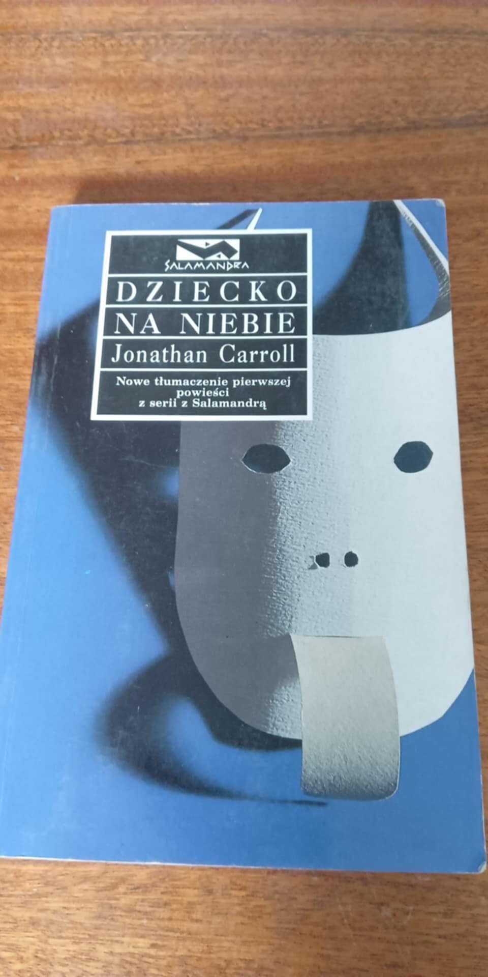 Jonathan Carroll Dziecko na niebie
