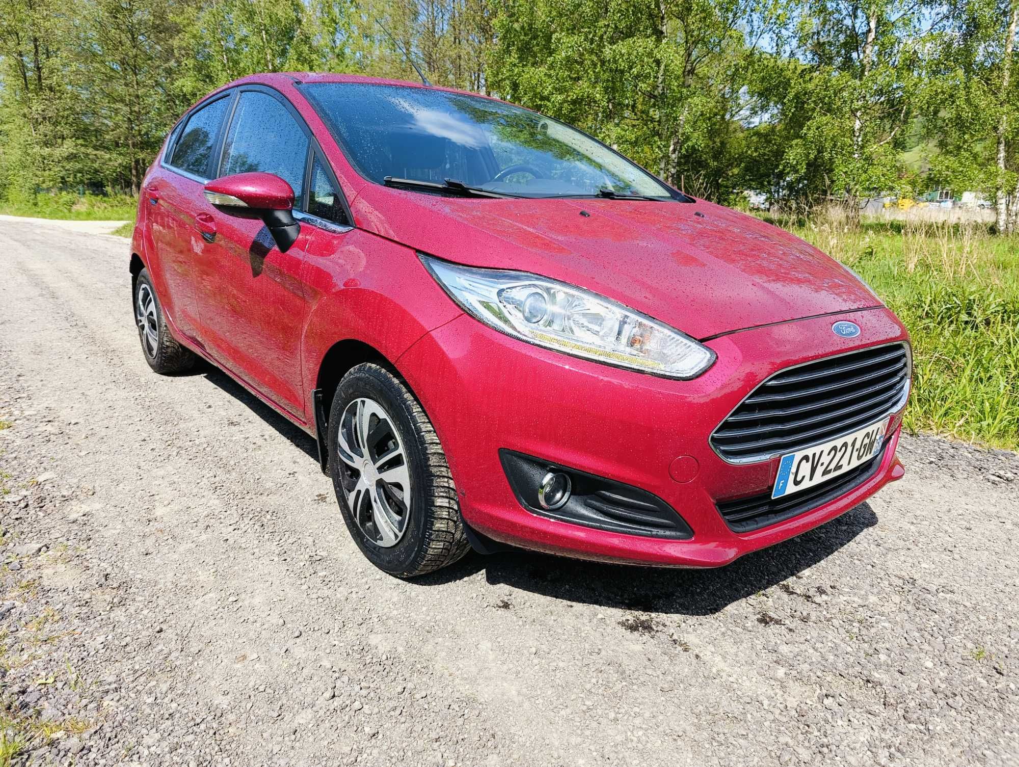 Ford Fiesta 1.0EcoBoost 2013