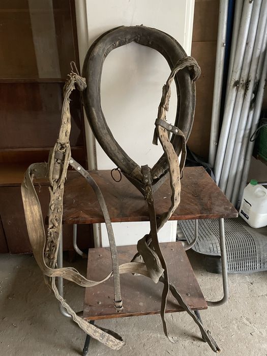 Osprzęt dla konia chomonta uzdy lejce