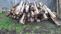 Drewno opałowe  suche (Wiąz)
