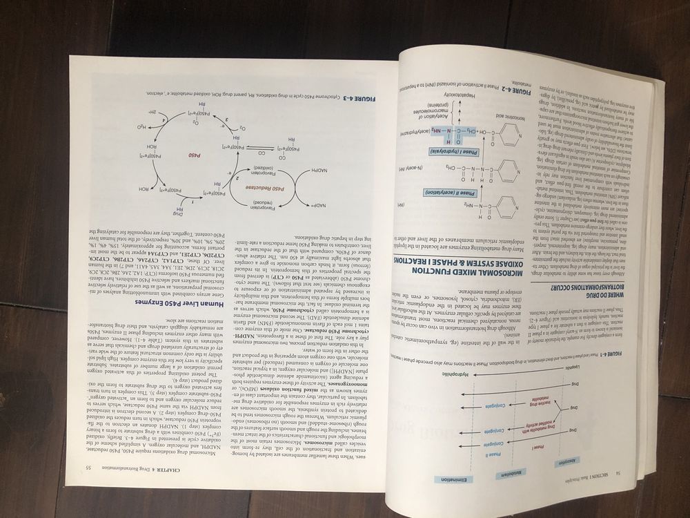 Livro Basic and Clinical Pharmacology 11 edition