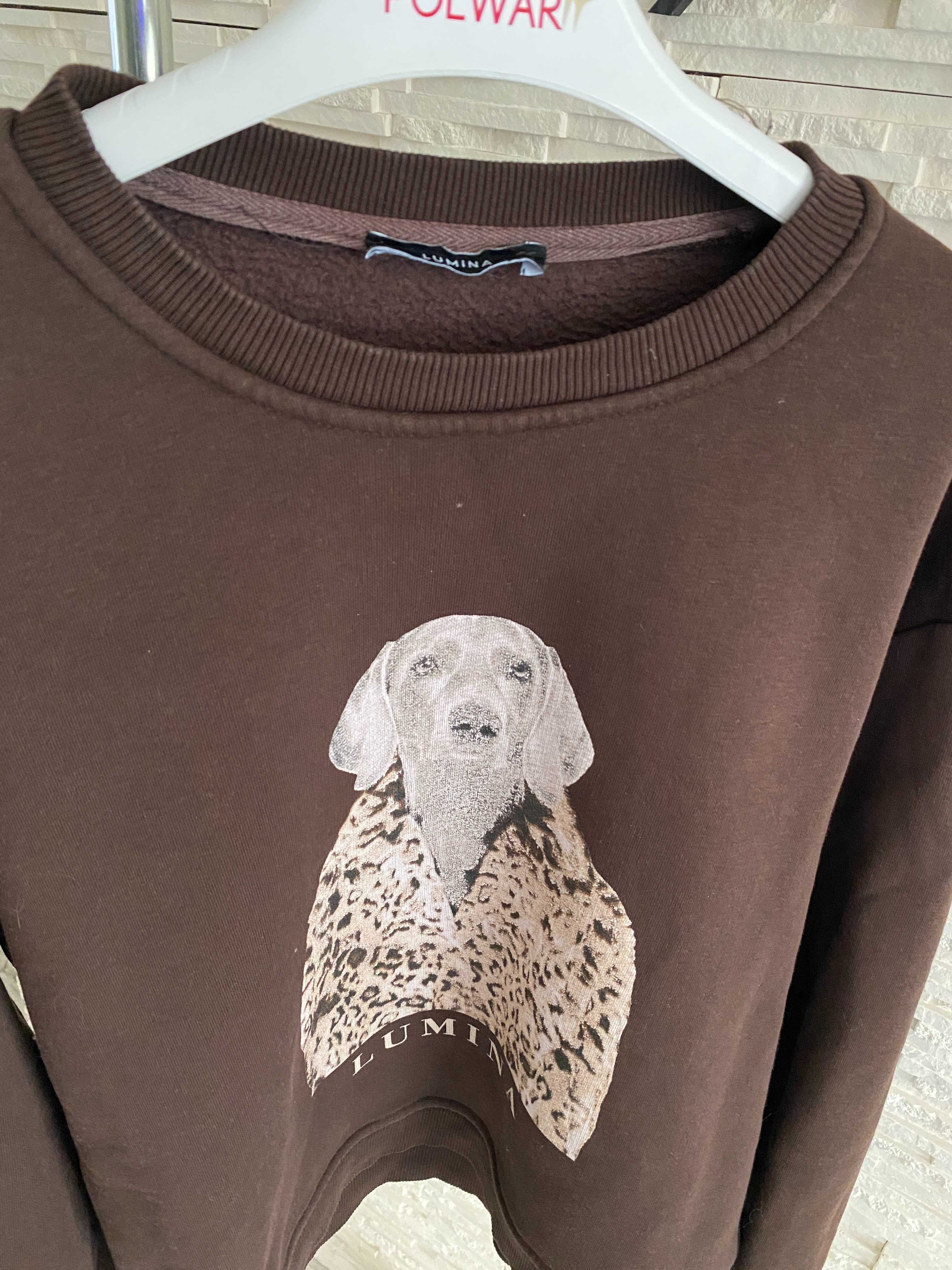 Lumina mięsista bluza czekoladowa  z psem dog Uni