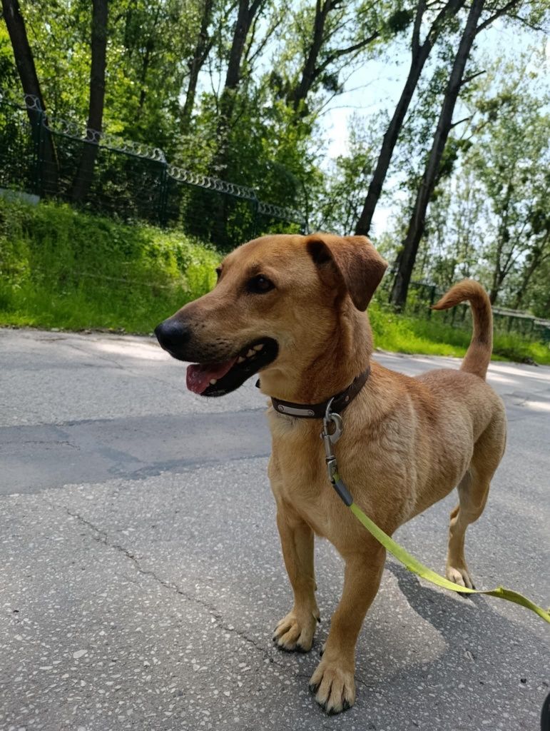 Rudi pragnie zamieszkach ze swoją rodziną