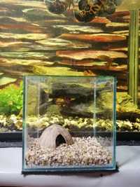 Нано акваріум для петушков