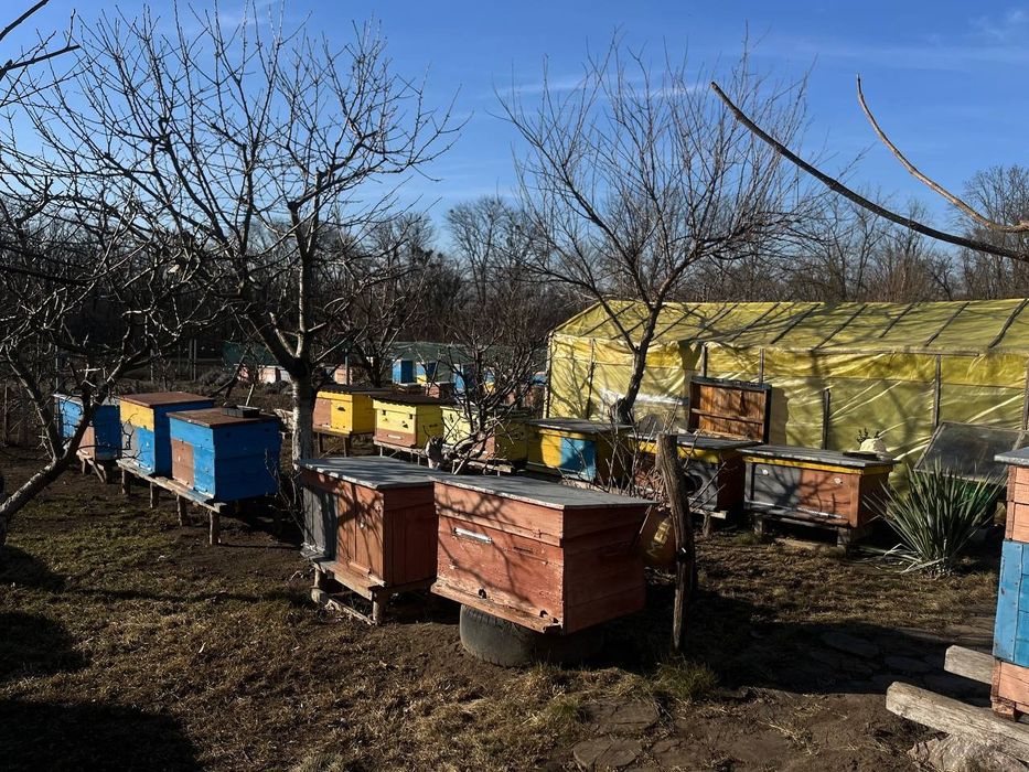 Продам Вулики Лежаки