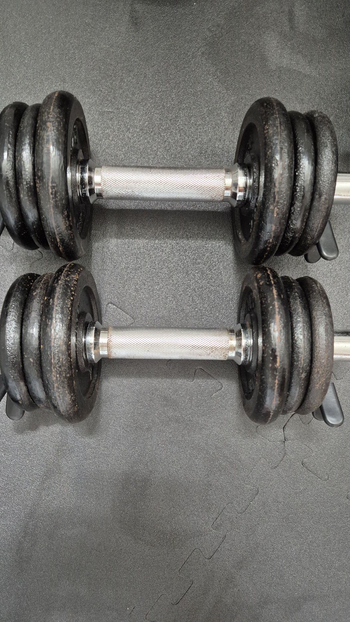 Conjunto de halteres 10 kg