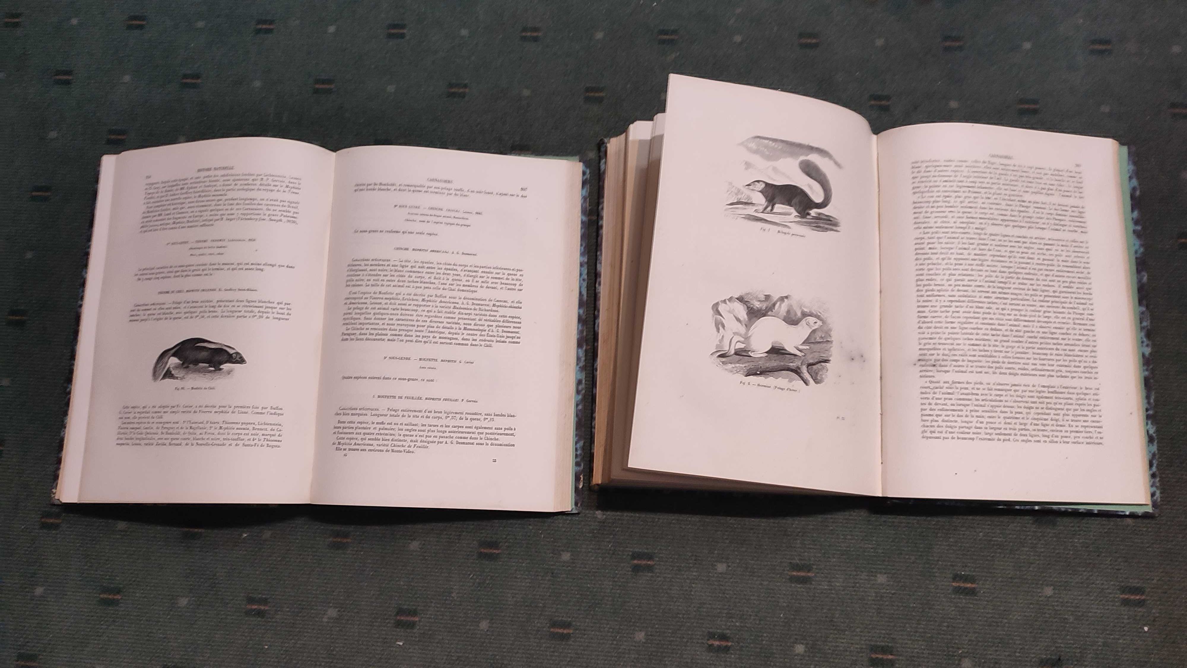 Encyclopédie D'Histoire Naturelle Traité Complet -Carnassiers - 2 Vol