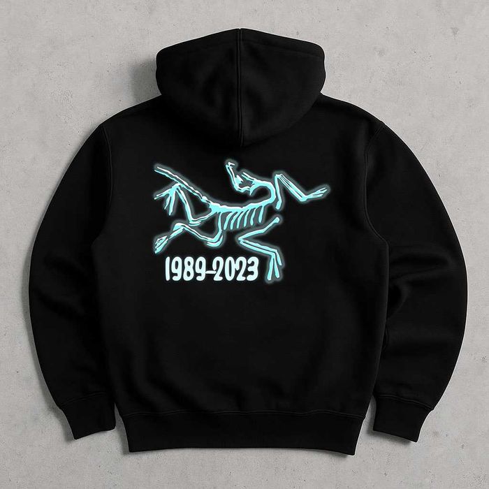 БЕЗ ПЕРЕДПЛАТ — Худи черное Arcteryx Palace — XS S M L XL