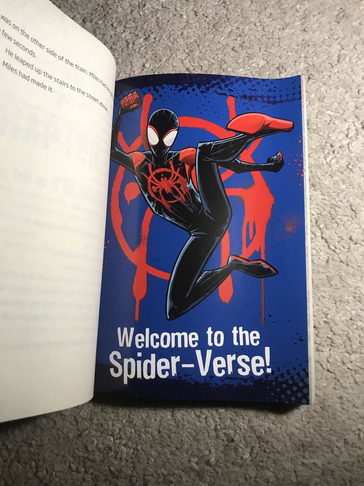 Spider-man into the spider verse