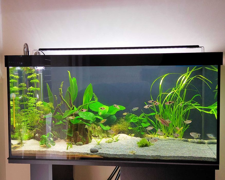 Aquário 120l com móvel e filtro.